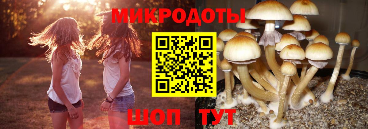 Псилоцибиновые грибы Magic Shrooms Еманжелинск